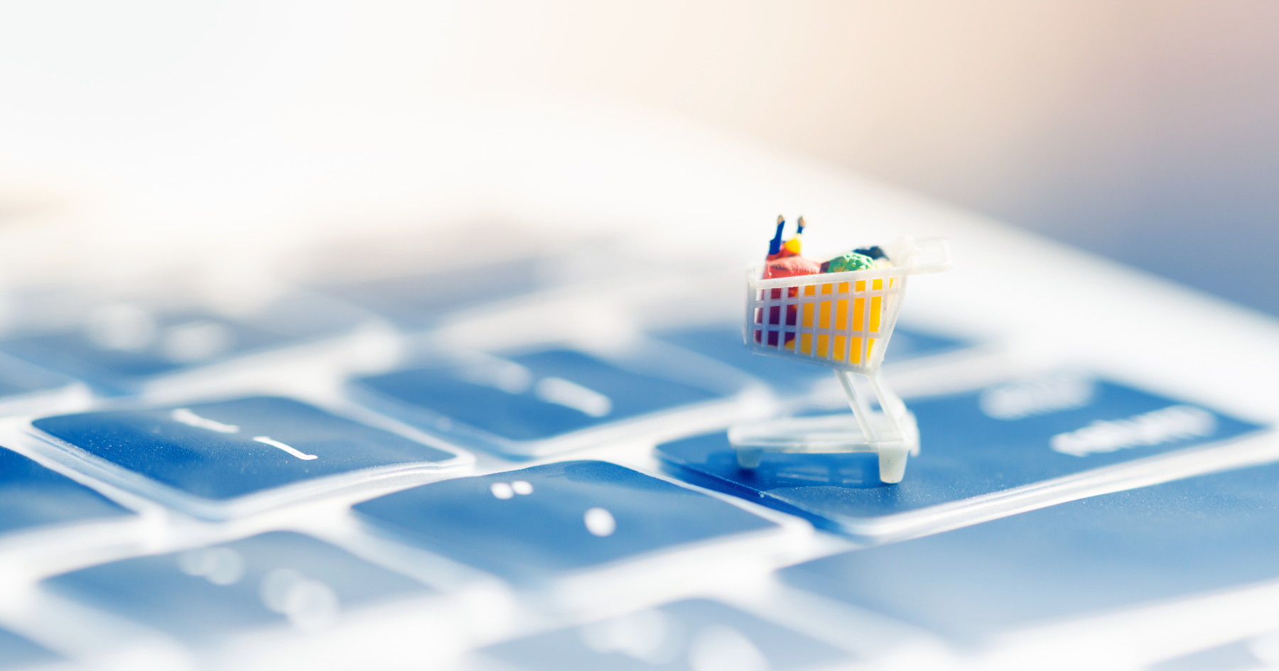 online grocery shopping behavior