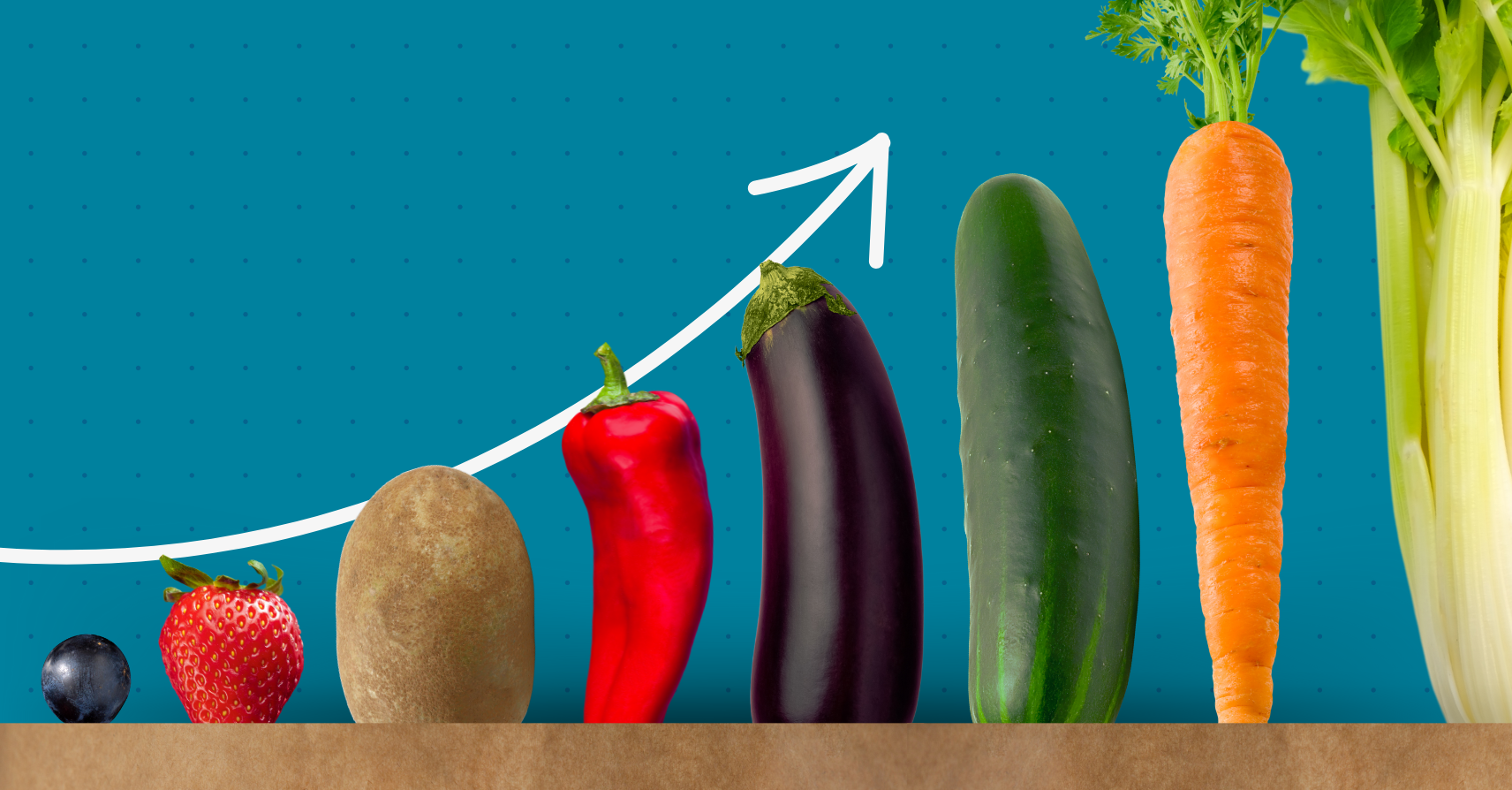 5 Online Grocery Store Marketing Ideas to Boost Revenue