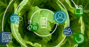 How to Properly Evaluate Your Grocery Shopping Technology